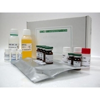 Гонадотропин рилизинг-фактор (ЛГ-РГ) (с экстракцией) (не для использования в медицинских целях)
